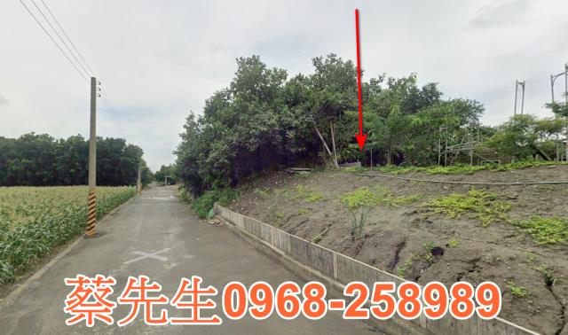 雲林褒忠農地法拍-4