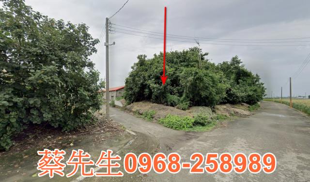 雲林褒忠農地法拍-8