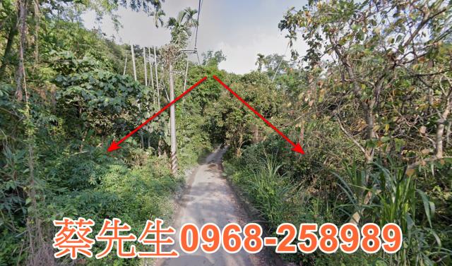 雲林建地法拍-13
