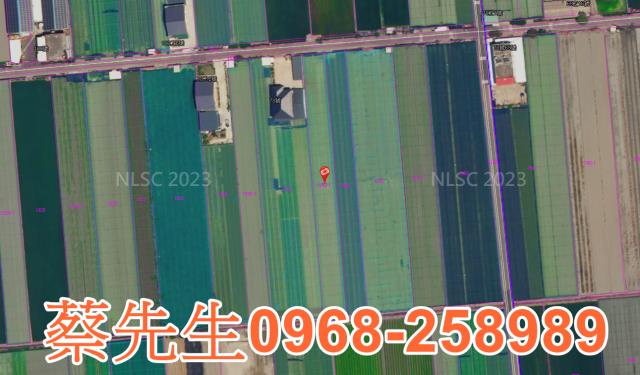 雲林拍賣農地-10