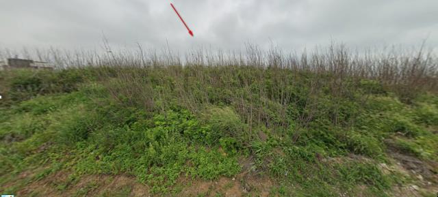 澎湖馬公法拍農地-8