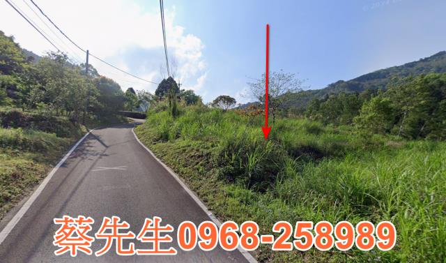 新竹農地法拍-3