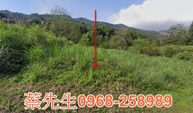 新竹農地法拍-8