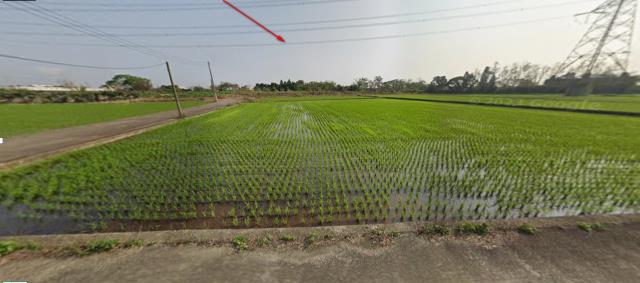 楊梅法拍農地-4