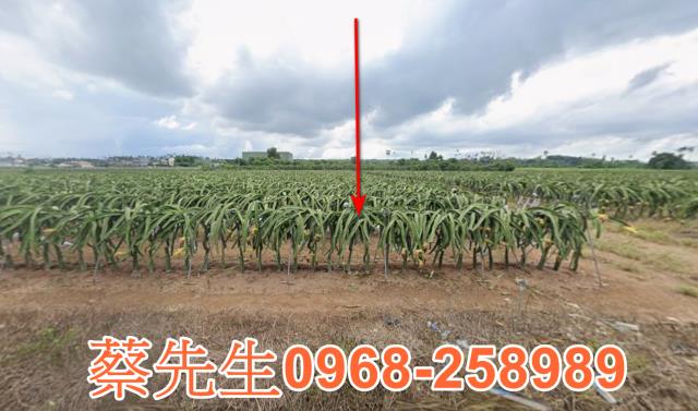 南投法拍農地-0