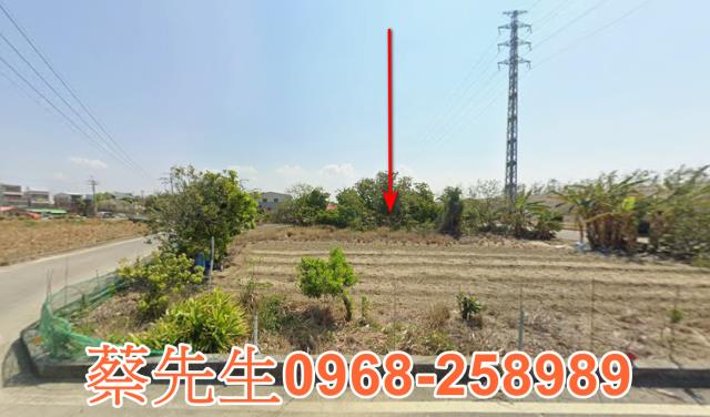 嘉義義竹建地法拍-4