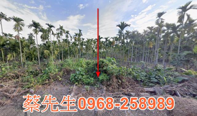 新埤法拍農地-0