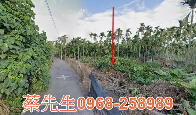 新埤法拍農地-3
