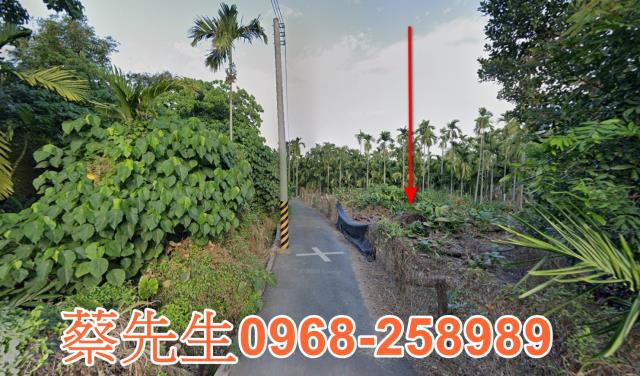 新埤法拍農地-4