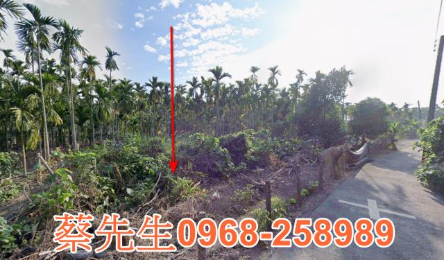新埤法拍農地-5