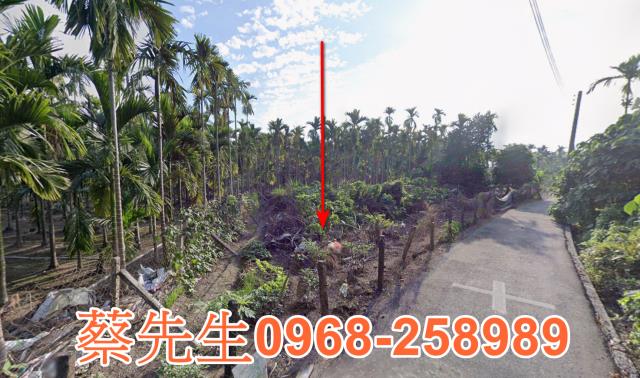 新埤法拍農地-6