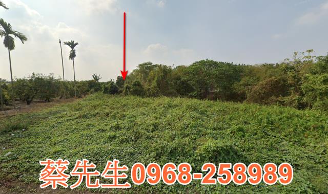 新埤農地拍賣-11