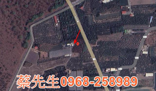 新埤農地拍賣-5