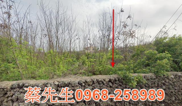 澎湖農地法拍-8
