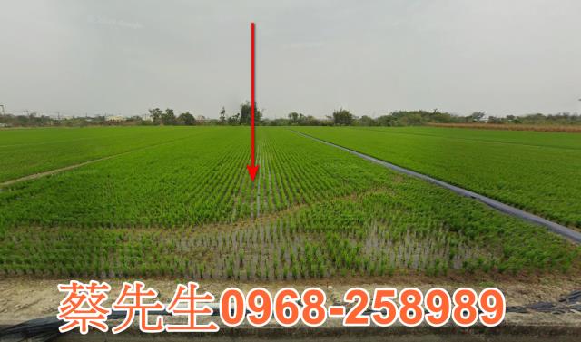 台南東山農地法拍-0