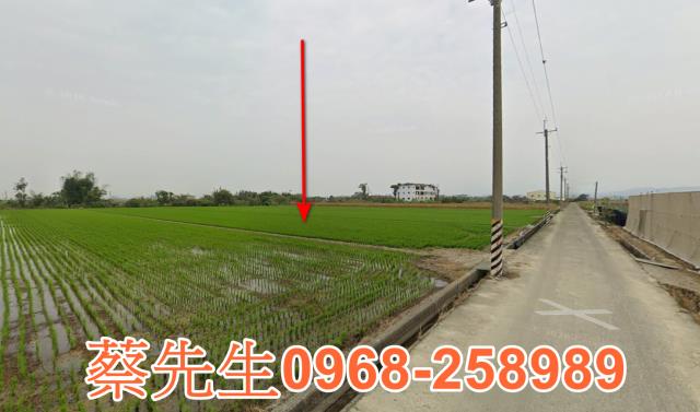 台南東山農地法拍-4