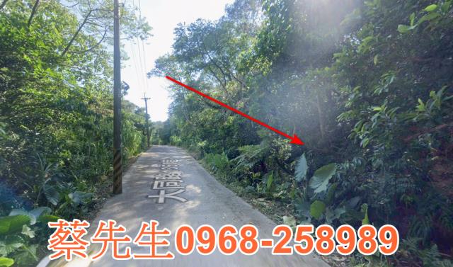 桃園農地拍賣-11