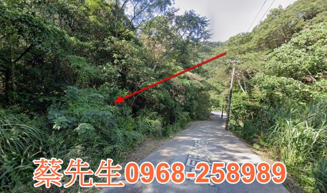桃園農地拍賣-13