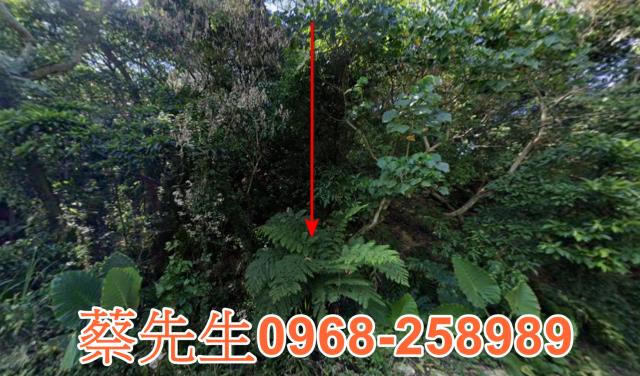 桃園農地拍賣-0