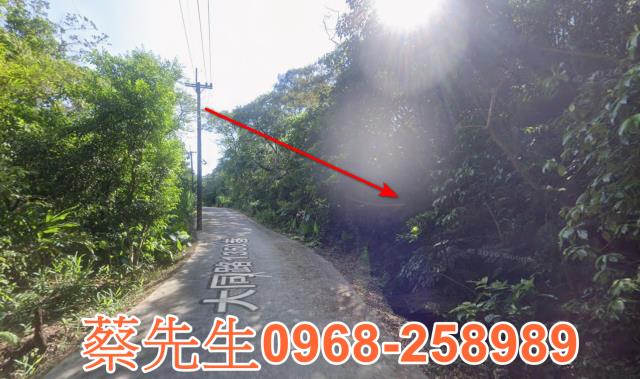 桃園農地拍賣-4