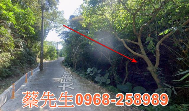 桃園法拍農地-12