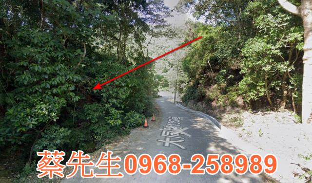 桃園法拍農地-14