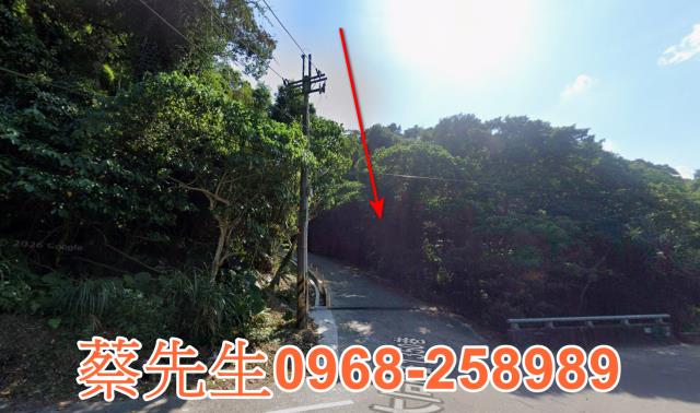 桃園法拍農地-8