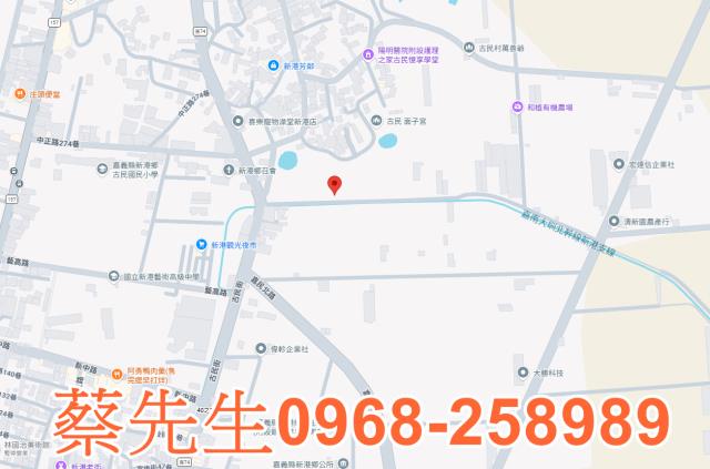 新港農地法拍-7