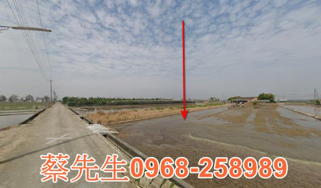 嘉義大林農地法拍-11
