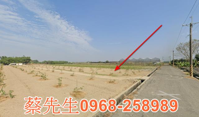 嘉義大林農地拍賣-6