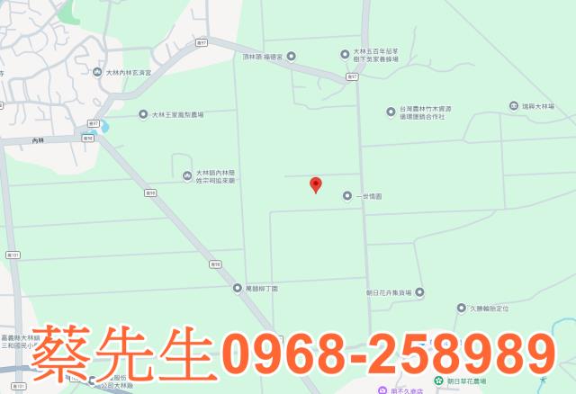 嘉義大林農地拍賣-7