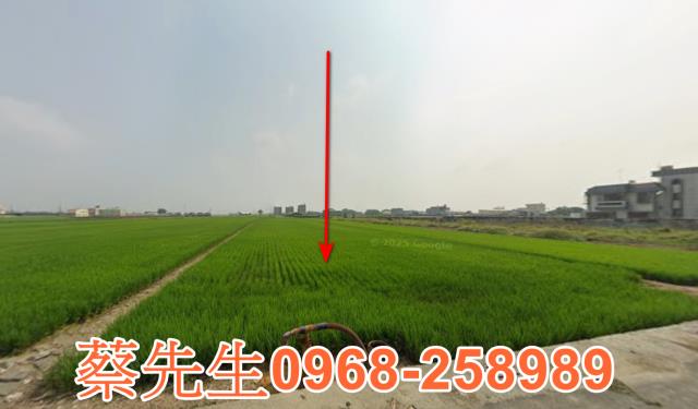 嘉義溪口法拍農地-0