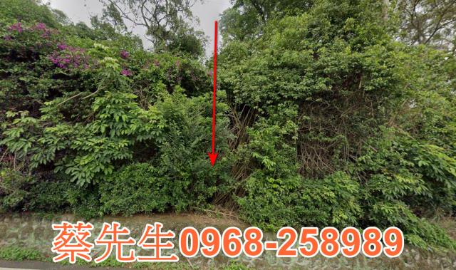 新竹新埔農地法拍-0