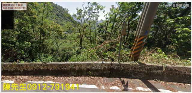 嘉義番路山坡地法拍-0