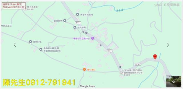 嘉義番路山坡地法拍-7