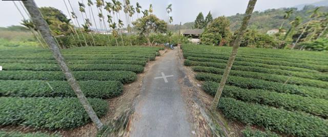 南投竹山法拍農地-3