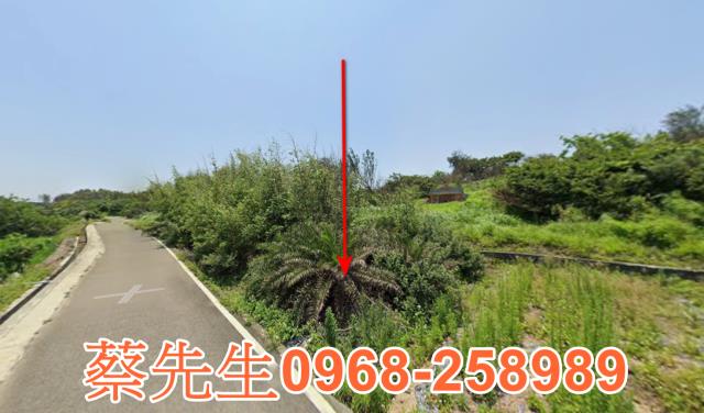 苗栗後龍農地法拍-11