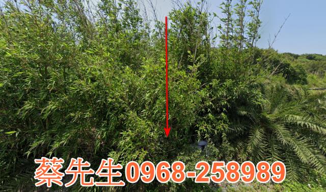 苗栗後龍農地法拍-8