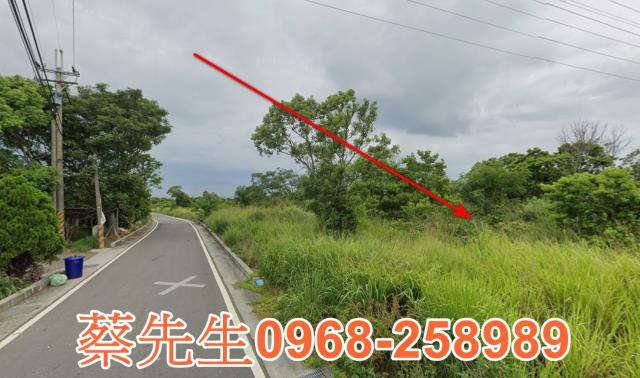 通霄農地法拍-11