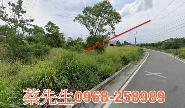 通霄農地法拍-14