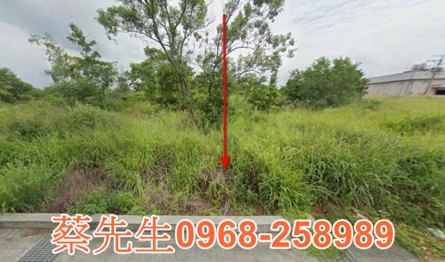通霄農地法拍-8