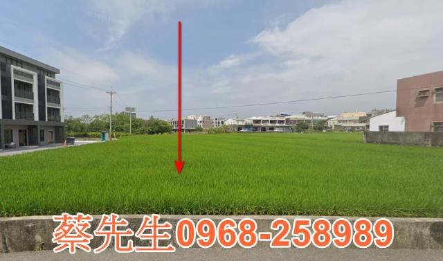 苑裡農地法拍-8