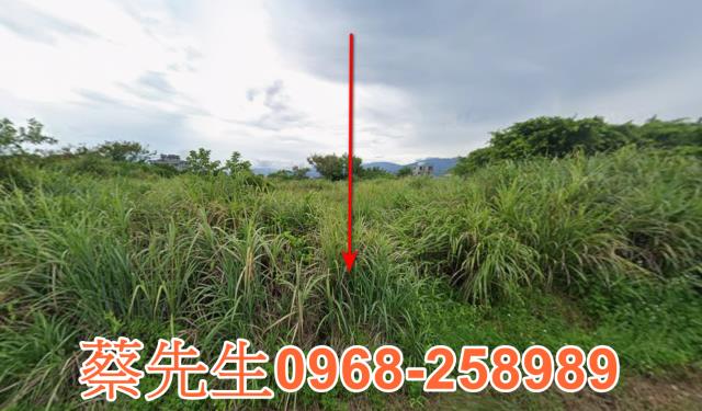 宜蘭壯圍農地法拍-0