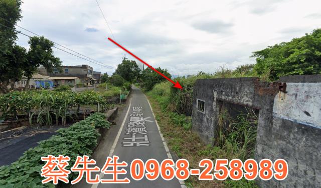宜蘭壯圍農地法拍-4