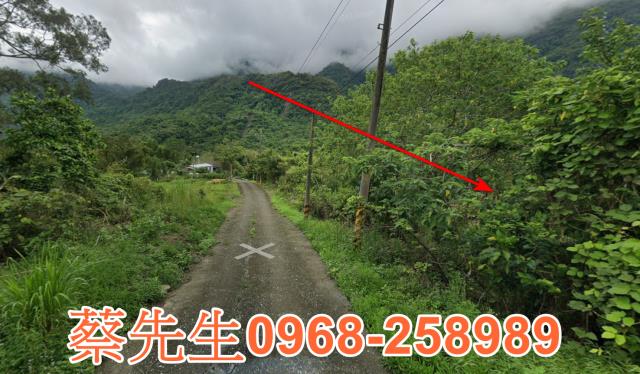 花蓮富里法拍農地-11