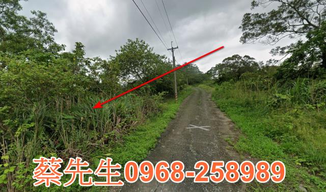 花蓮富里法拍農地-13