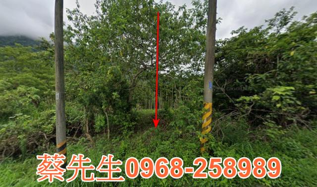 花蓮富里法拍農地-0