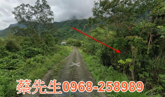 花蓮富里法拍農地-4