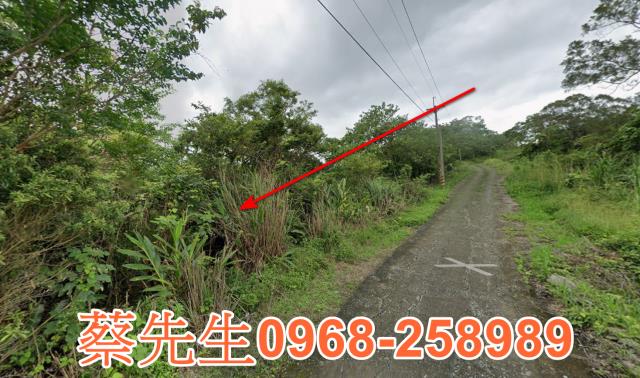 花蓮富里法拍農地-6