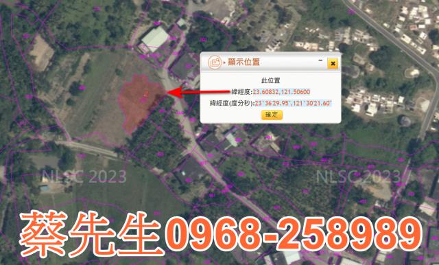 豐濱法拍農地-10